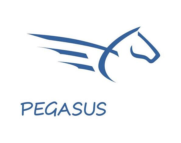 https://www.investiresgr.it/uploads/foto_news/PEGASUS_ridotto_1625733860.jpg